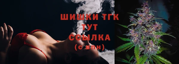 стафф Богданович