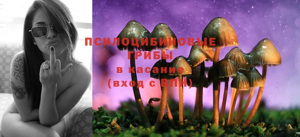 ПСИЛОЦИБИНОВЫЕ ГРИБЫ Богородск