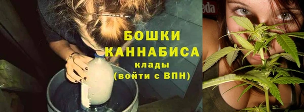 эйфоретик Богородицк