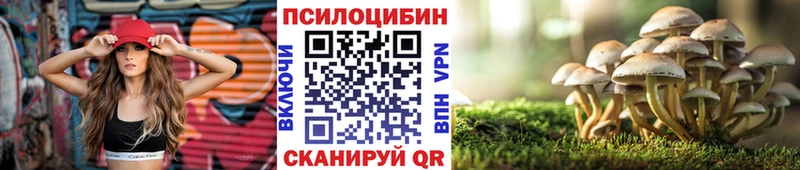 Галлюциногенные грибы GOLDEN TEACHER  ОМГ ОМГ ссылки  Минусинск 